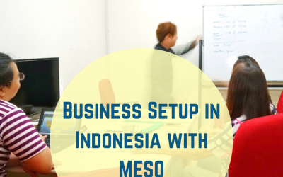 Business Setup in Indonesia with MESO