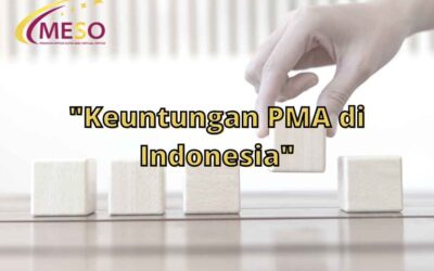 Keuntungan PMA di Indonesia